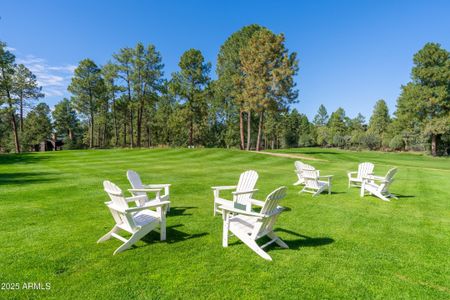 New construction Single-Family house 1004 N Scenic Dr, Payson, AZ 85541 - image