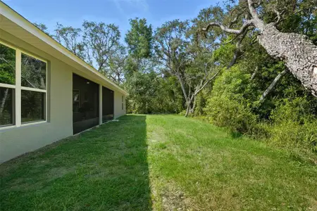 New construction Single-Family house 463 Trafalgar Ln, Spring Hill, FL 34606 - image