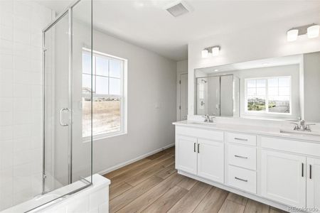 New construction Single-Family house 1871 Water Birch Way, Castle Rock, CO 80108 null- photo 15 15