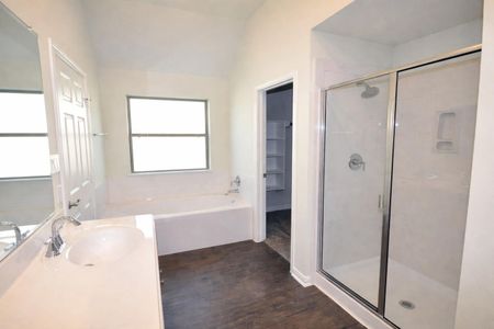 New construction Single-Family house 2105 Palmilla Rd, League City, TX 77539 plan 317 - image 4