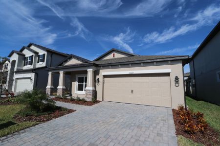 New construction Single-Family house 33227 Amling Pecan Br, Wesley Chapel, FL 33545 Newport II- photo 112 112