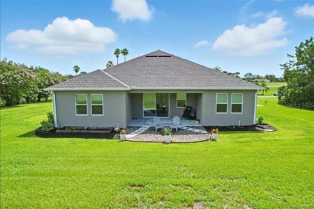 New construction Single-Family house 1136 N Cherry Pop Dr, Hernando, FL 34442 - image 4