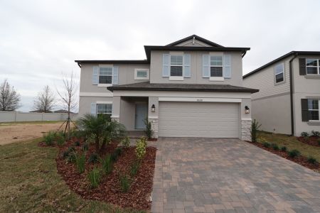 New construction Single-Family house 38350 Tobiano Loop, Dade City, FL 33525 Cabo- photo 130 130