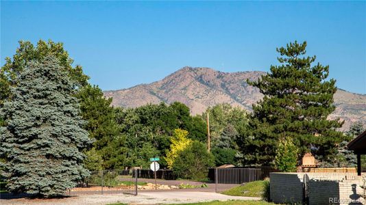 New construction Single-Family house 3387 S Newcombe Street, Lakewood, CO 80227 - photo 9 9