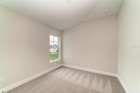 New construction Single-Family house 12362 Oak Hill Wy, Parrish, FL 34219 plan Bridgeport - image 16