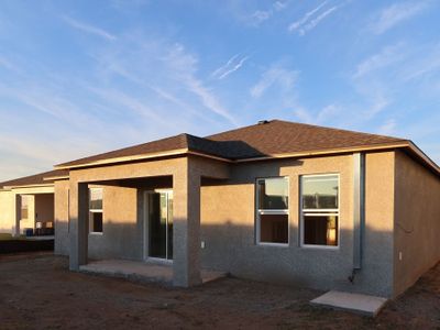 New construction Single-Family house 37849 Tobiano Lp, Dade City, FL 33525 plan Maui - image