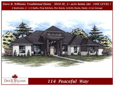 New construction Single-Family house 114 Peaceful Wy, Celina, TX 75009 - image