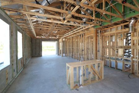 New construction Single-Family house 5762 Jeffries Way, Wesley Chapel, FL 33545 Newport II Bonus- photo 33 33