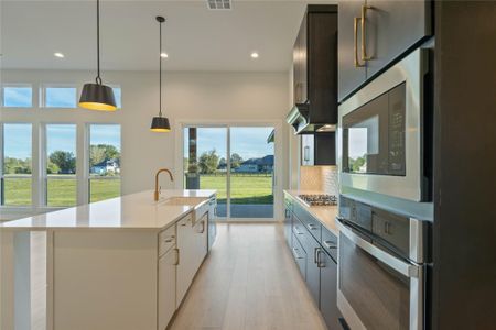 New construction Single-Family house 25231 Pleasant Retreat Ct, Montgomery, TX 77356 - image 16