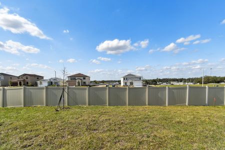 New construction Single-Family house 12227 Hilltop Farms Dr, Dade City, FL 33525 Sentinel- photo 154 154