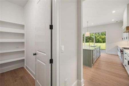 New construction Single-Family house 158 Palisade Dr, Rydal, GA 30171 - image 7