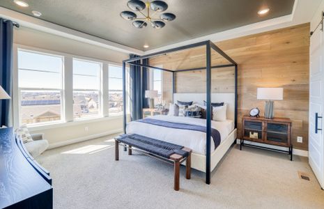 New construction Single-Family house 8403 S Winnipeg Ct, Aurora, CO 80016 plan Ferrara - image 10