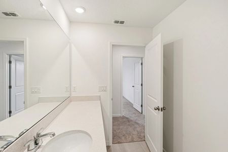 New construction Single-Family house 30129 Misty Pines Road Mt, Mount Dora, FL 32757 plan Duval II - image 13