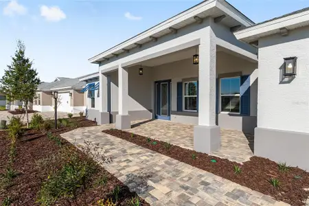 New construction Single-Family house 8501 Sw 101St Ter, Ocala, FL 34481 - image