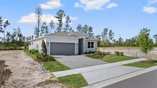 New construction Single-Family house 1293 Twin Farms Ct, Deland, FL 32724 plan Jade - image