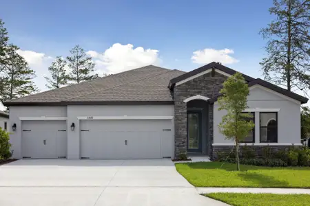 New construction Single-Family house 5379 Wolf Creek Dr, Apollo Beach, FL 33572 plan Bayside I - image