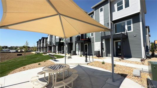 New construction Townhouse house 2668 W 68Th Ave, Denver, CO 80221 null- photo 9 9
