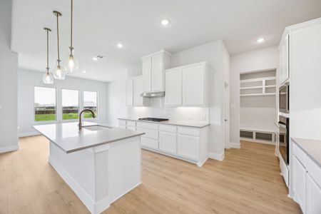 New construction Single-Family house 120 Rancher Trl, Waxahachie, TX 75165 plan Belmont - image 8