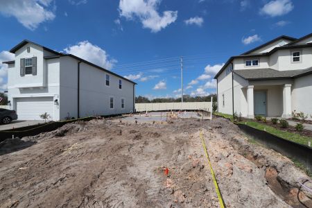 New construction Single-Family house 3047 Misty Marble Dr, Zephyrhills, FL 33540 Castellana- photo 5 5