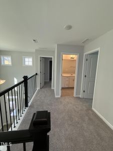 New construction Single-Family house 2391 Englemann Dr Dr, Apex, NC 27502 null- photo 15 15