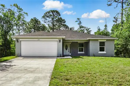 New construction Single-Family house 225 Starling Ct, Kissimmee, FL 34759 - image