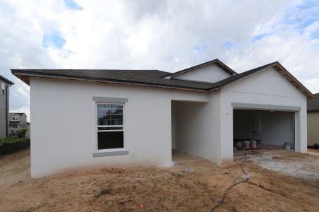 New construction Single-Family house 12193 Hilltop Farms Dr, Dade City, FL 33525 Sentinel- photo 23 23