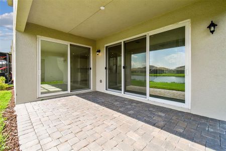 New construction Single-Family house 3033 Hollow Hickory Place, Wesley Chapel, FL 33543 - photo 39 39