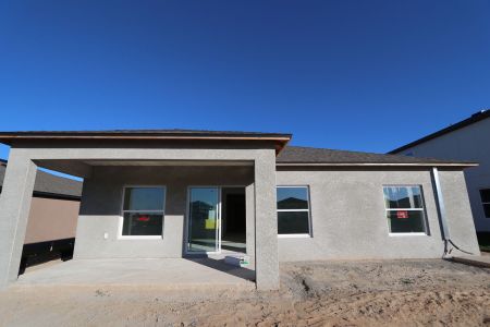 New construction Single-Family house 12227 Hilltop Farms Dr, Dade City, FL 33525 Sentinel- photo 45 45