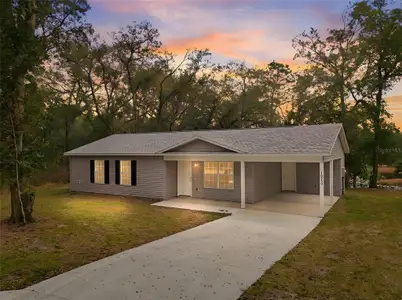 New construction Single-Family house 16450 Se 57Th Pl, Ocklawaha, FL 32179 - image