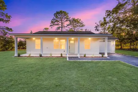 New construction Single-Family house TBD Sequoia Loop Dr, Ocklawaha, FL 32179 - image