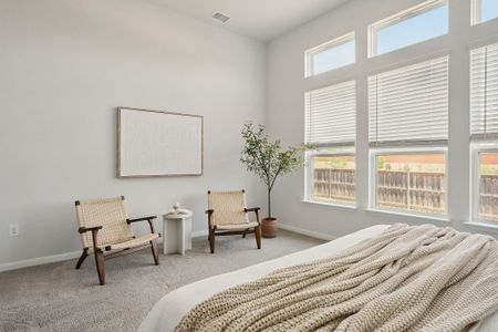 New construction Single-Family house 469 Durian Lp, Buda, TX 78610 null- photo 16 16