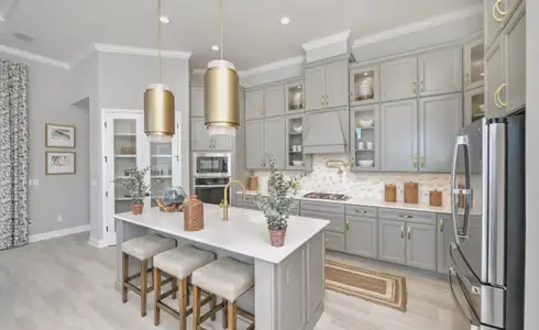 New construction Single-Family house 26 Night Owl Ct, St. Augustine, FL 32092 plan Serena - image 12