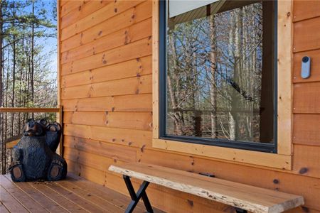 New construction Single-Family house 572 Left Turn, Blue Ridge, GA 30513 - image