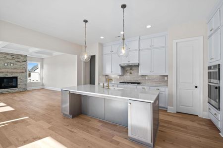 New construction Single-Family house 1041 Sage Pine Cir, Clover, SC 29710 plan Bethpage - image 9