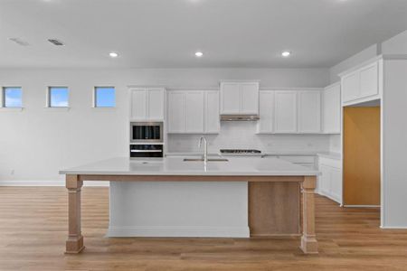 New construction Single-Family house 257 Basketflower Dr, Waxahachie, TX 75165 plan Marietta - image 5