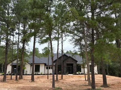 New construction Single-Family house 7210 Morningbrook Dr, Montgomery, TX 77316 - image