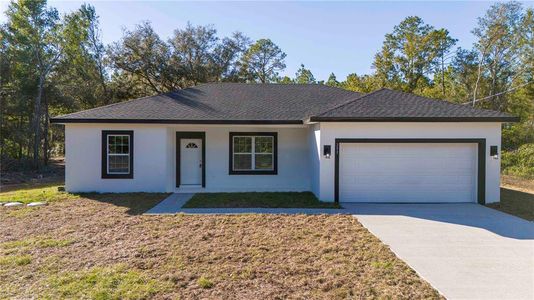 New construction Single-Family house 293 Fisher Way, Ocklawaha, FL 32179 - photo 0