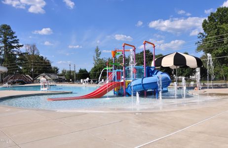 New construction Single-Family house 65 Goldenrod Lp, Clayton, NC 27520 - image 8