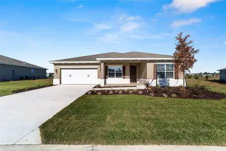 New construction Single-Family house 9972 Sw 106Th Cir, Ocala, FL 34481 - image