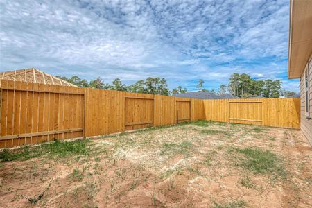 New construction Single-Family house 10269 Badger Run Lane, Magnolia, TX 77354 - photo 40 40