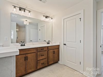 The River District - Pioneer Collection by David Weekley Homes in Charlotte - image 4