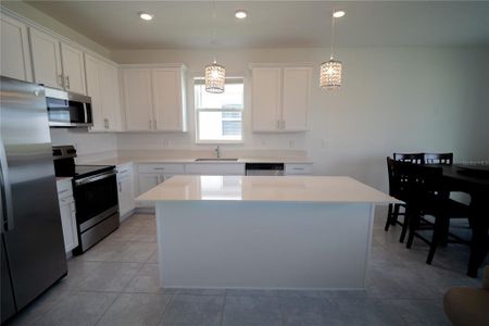 New construction Single-Family house 4211 Little Owl Ln, Kissimmee, FL 34746 null- photo 26 26