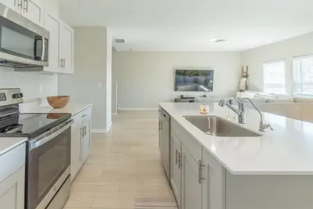 New construction Single-Family house 34284 Verbena St, Wesley Chapel, FL 33545 - image 7