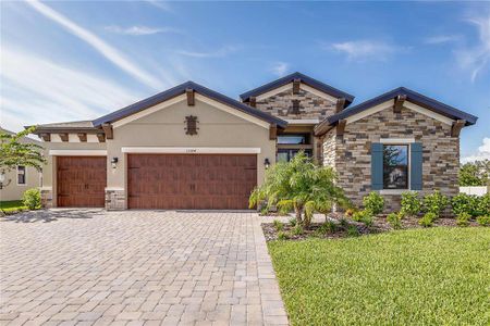 New construction Single-Family house 14828 Rider Pass Drive, Lithia, FL 33547 - photo 0