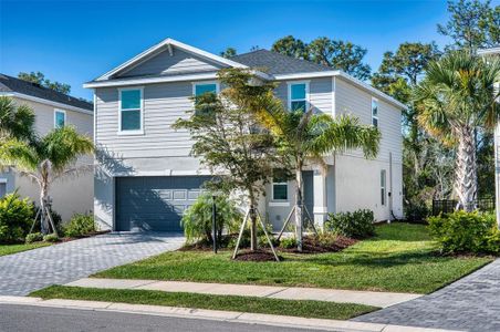 New construction Single-Family house 13941 Lilac Sky Ter, Bradenton, FL 34211 - image