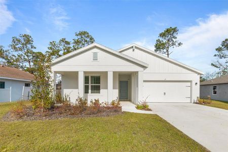 New construction Single-Family house 17 Birchwood Pl, Palm Coast, FL 32137 - image