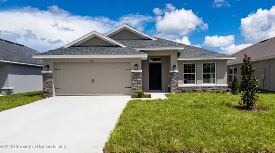 New construction Single-Family house 11594 Grace Rd, Weeki Wachee, FL 34614 plan 2020 - image