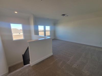 New construction Single-Family house 4424 Aralia Dr, Fort Worth, TX 76036 - image 9