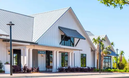 New construction Single-Family house 338 Citrus Dr, Summerville, SC 29486 plan Hayden - image