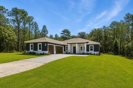 New construction Single-Family house 16098 Mellon Rd, Weeki Wachee, FL 34614 - image